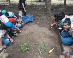 Std VI Field Trip to Eco Farm at Wada